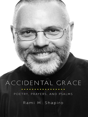 cover image of Accidental Grace
